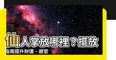 仙人掌放辦公室|仙人掌風水辦公室擺放指南：提升運勢、招財擋煞 